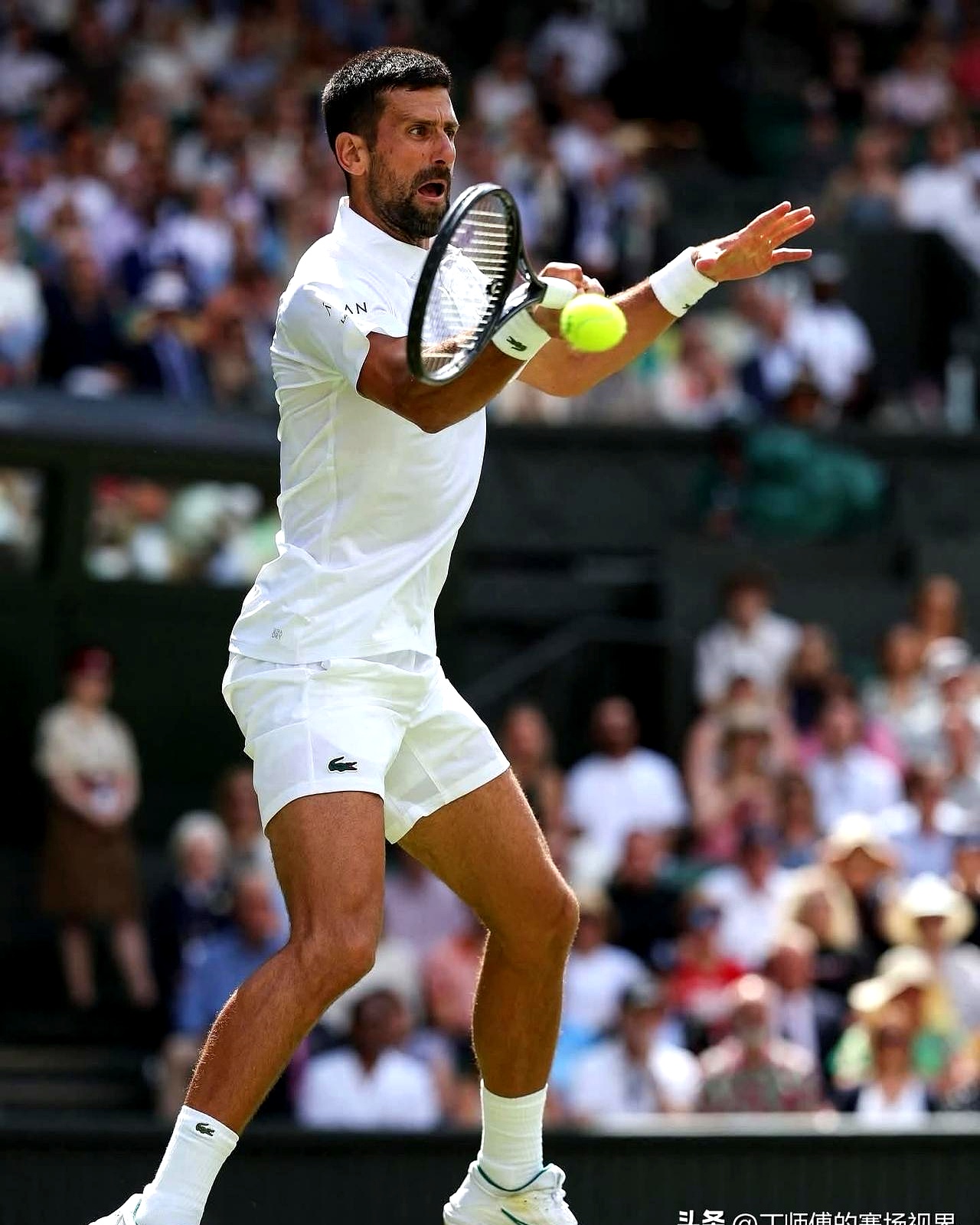LOL直播入口-世界网球队绝地反击英国网球队，德约科维奇关键制胜的简单介绍